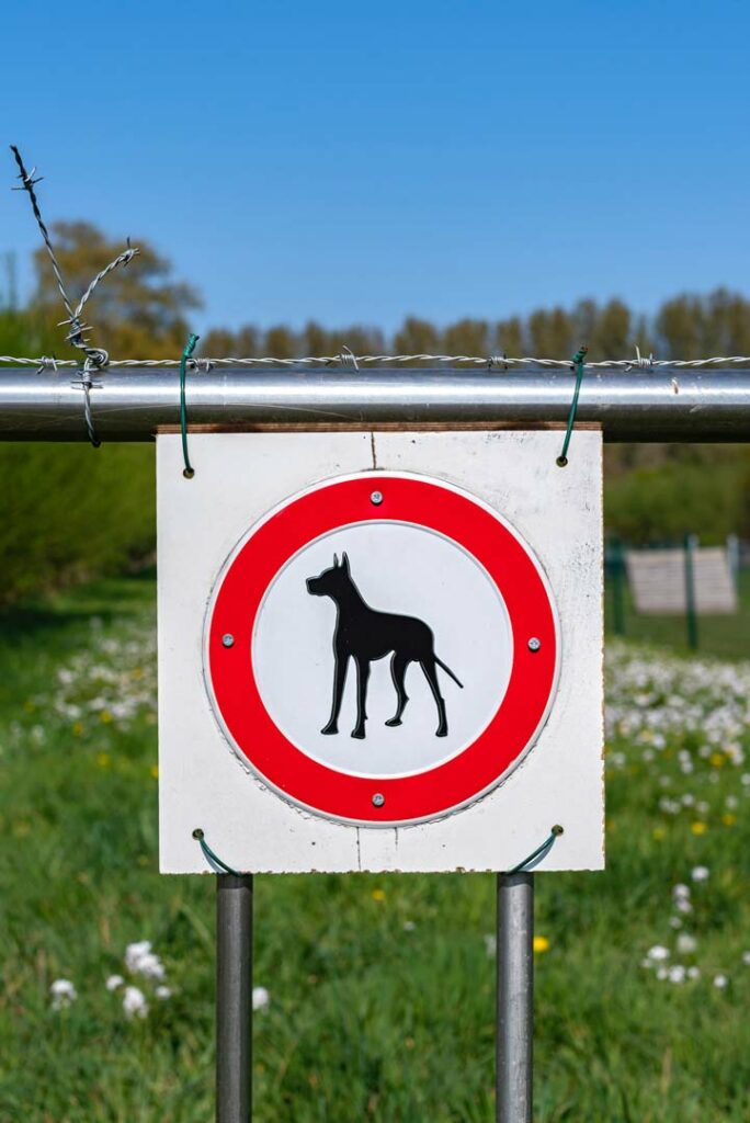 beware the dog sign